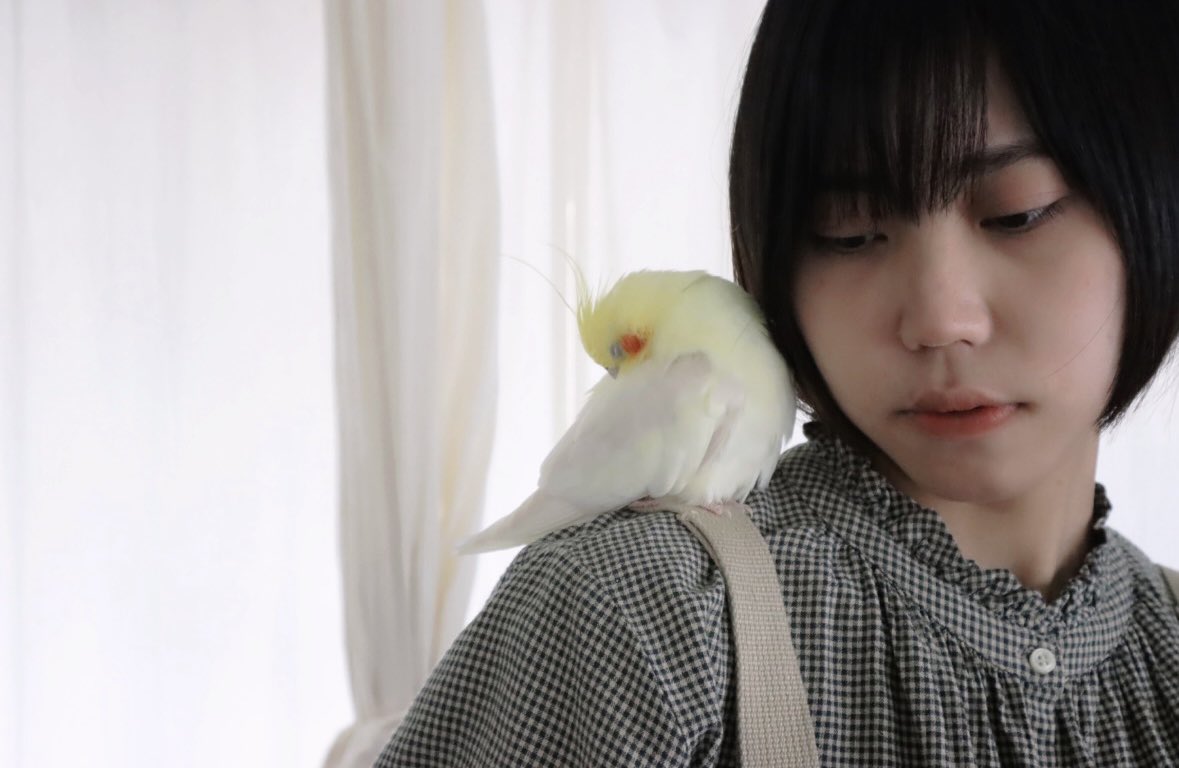 宮本 tweet media