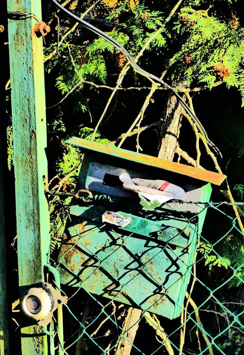 #wienerwald 061120 - wigwam bauen  #welovetwins #OpOma