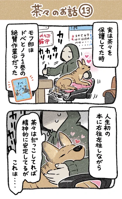 保護犬茶々のお話【第13話】
テッテレ〜♬
#漫画が読めるハッシュタグ 