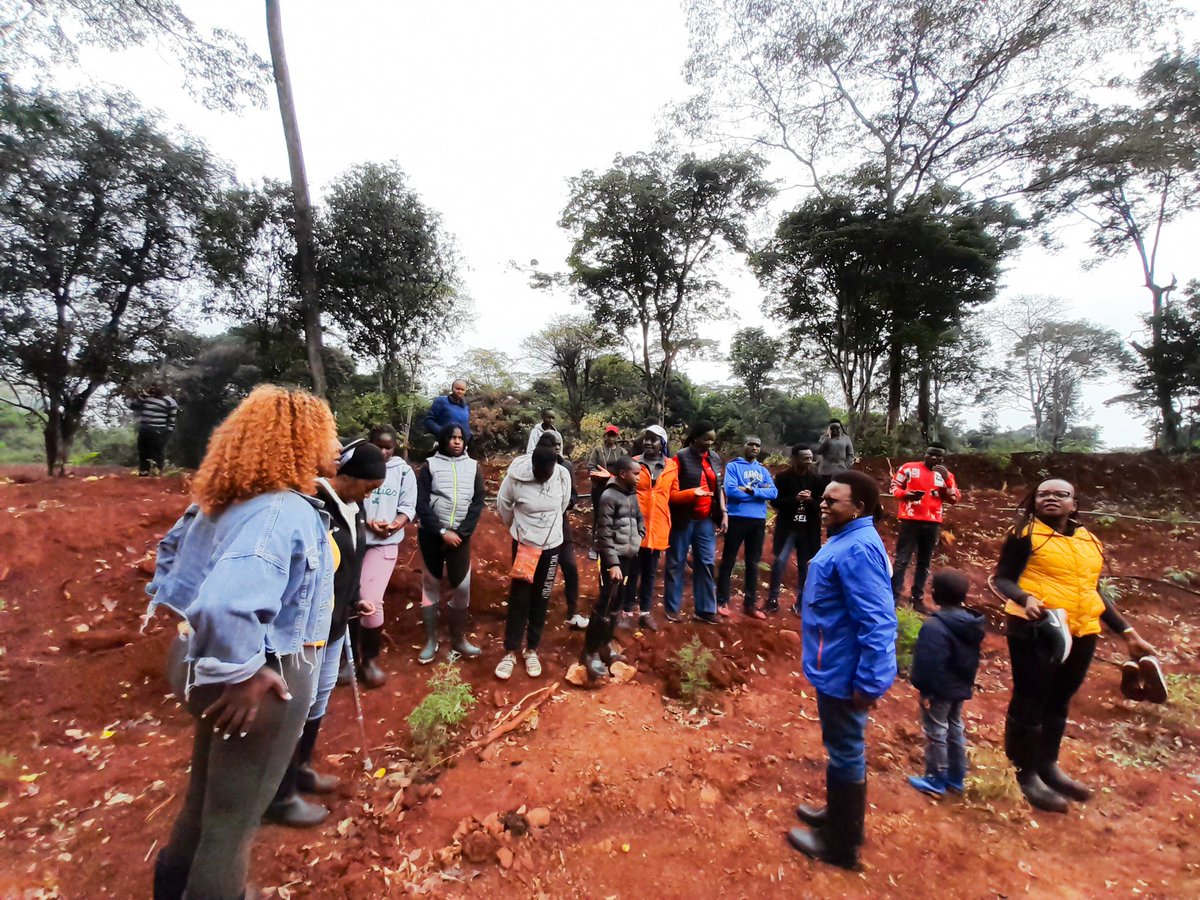Leaving No one behind! A successful tree planting excercise at DCI Headquarters, Kiambu Road (@DCI_Kenya). A total of 300 seedlings planted. We are committed to making a positive impact on the Environment & paving way for a more sustainable future! #GenerationRestoration