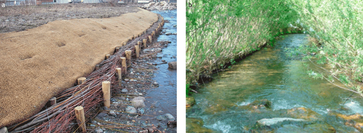 Fascines de ligneux et génie végétal appliqués à la stabilisation des berges des rivières 👉 un article complet sur le sujet (histoire, techniques, perspectives)👉revue-set.fr/article/view/7…
#rivière #GenieEcologique