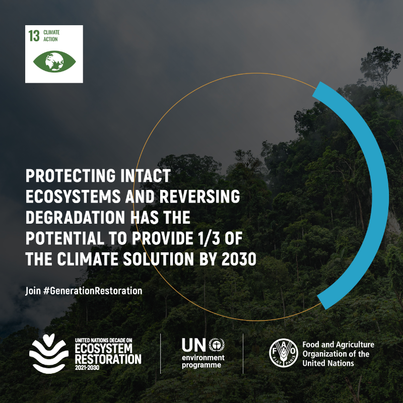 Nature holds the key to many climate solutions. Ecosystem restoration is critical to limiting global temperature rise below 2°C. Join #GenerationRestoration and take #ClimateAction: decadeonrestoration.org