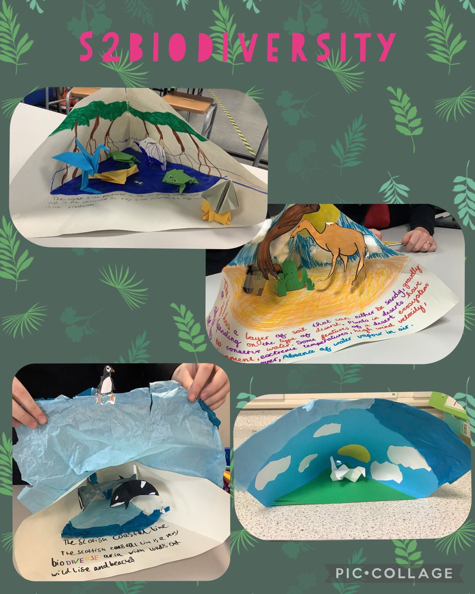 Braes Biology tweet media