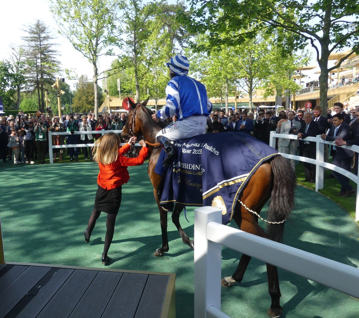 seenthestars's tweet photo. Fantastic performance from @HeadRacing1 and Yeguada Centurion to have two horses nominated for Cartier Racing Awards. #BlueRoseCen a strong contender for Champion 3yo Filly.
🏆 G1 Emirates Poule d'Essai des Pouliches
🏆 G1 Prix de Diane Longines
🏆 G1 Prix de l'Opéra Longines https://t.co/DuUU9uNItL