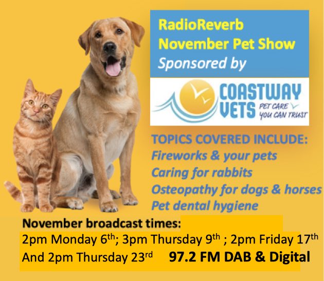 How do you keep your pets safe during the firework season? Tune into @radioreverb’s Pet Show sponsored by ⁦@coastwayvets⁩ today to find out. Other topics covered include caring for rabbits & osteopathy for horses and dogs. Tune in at 2pm today on 97.2FM DAB & Digital