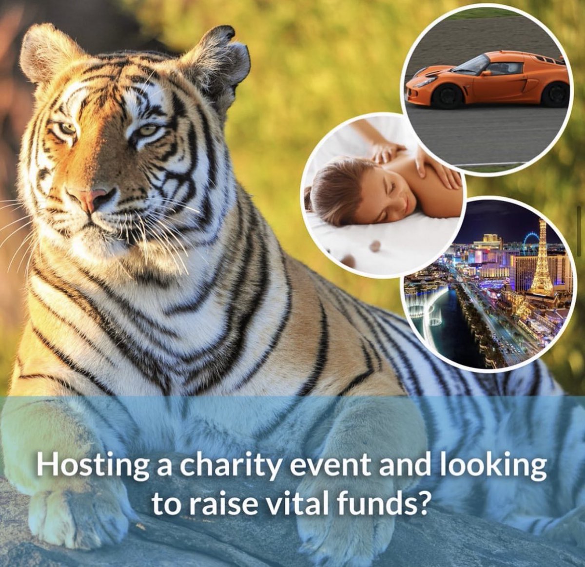 Are you hosting a charity and looking to raise vital funds for your charity/cause.

We offer a fantastic variety of fundraising solutions to suit any type of event with the lowest reserve prices!

Get in touch today!

💬 Send us a DM
☎️ 01273 311433

#charity #fundraising