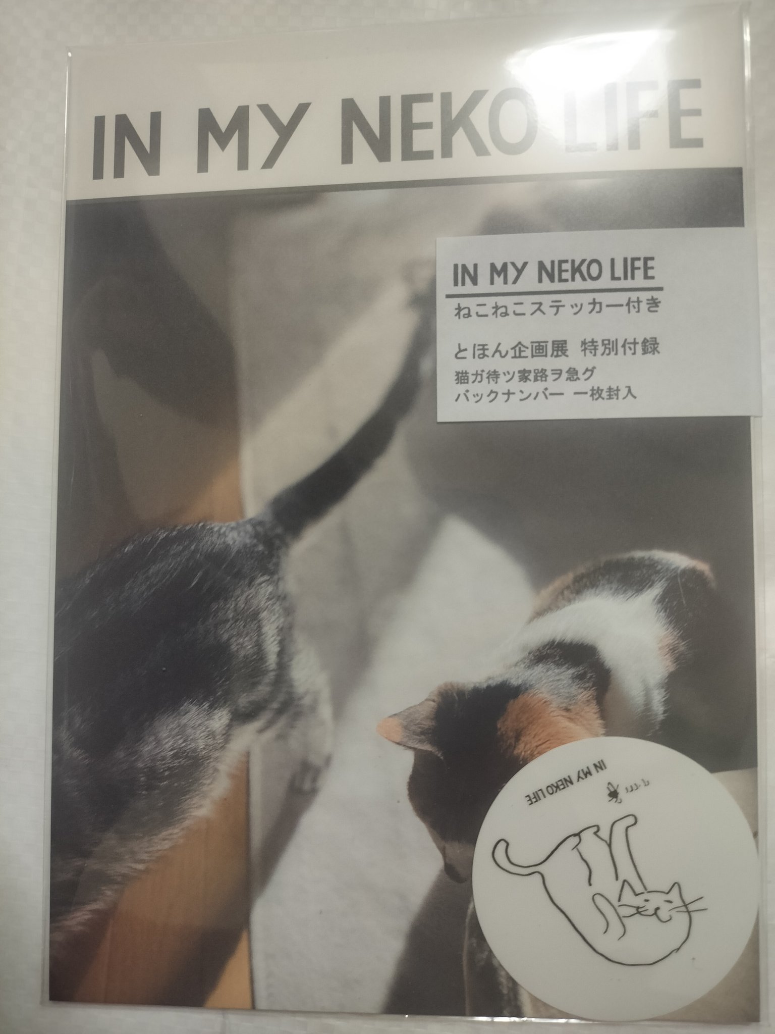 Neko Standard (@Neko_Standard) / X