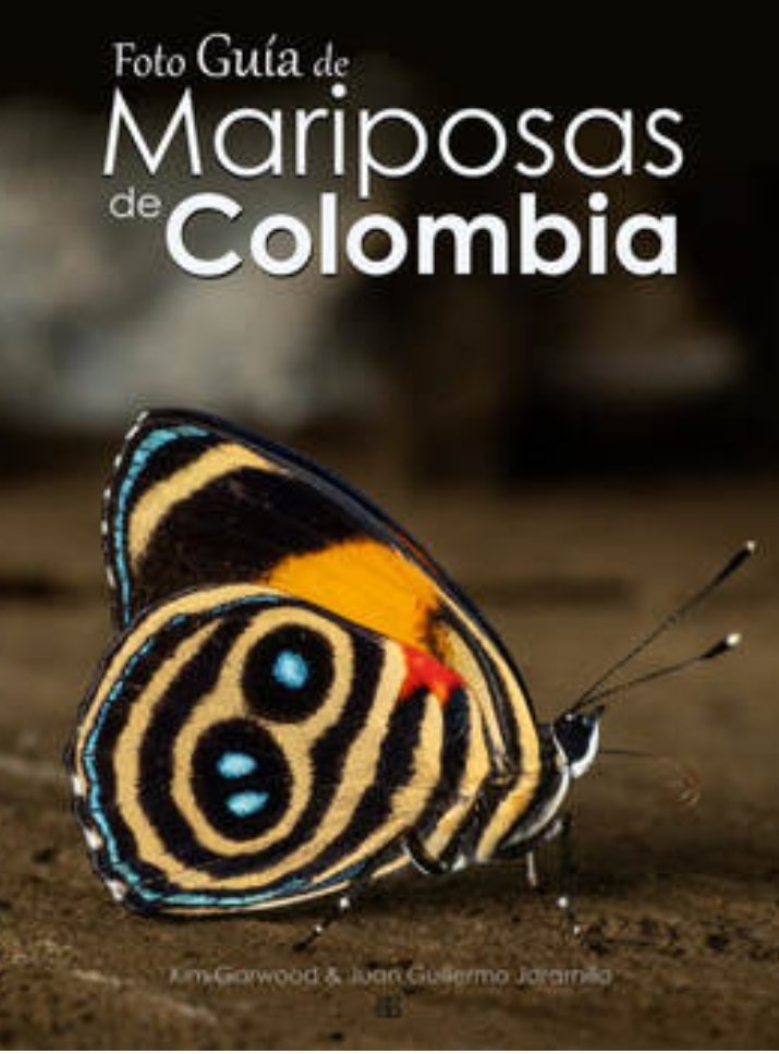 FAAEColombia's tweet photo. #Recommended | #Colombia 🇨🇴 with only 1% of the planet surface has 10% of the biodiversity. Butterflies and moths are an important part of that biodiversity and we want build knowledge of this treasure that nature gives to the country https://t.co/J53DHfyrGg https://t.co/wokWcXlftu