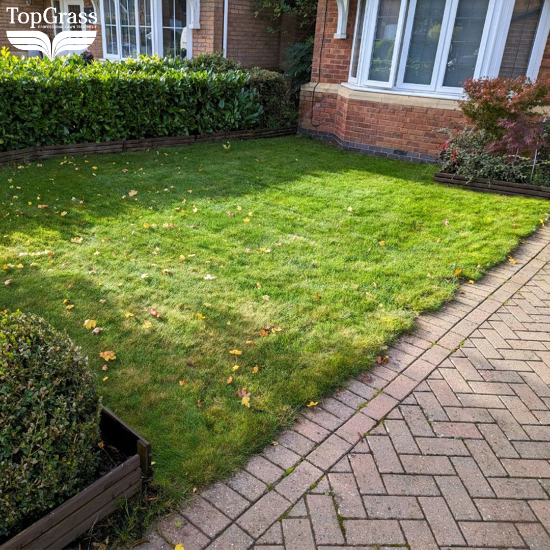 TopGrass tweet media
