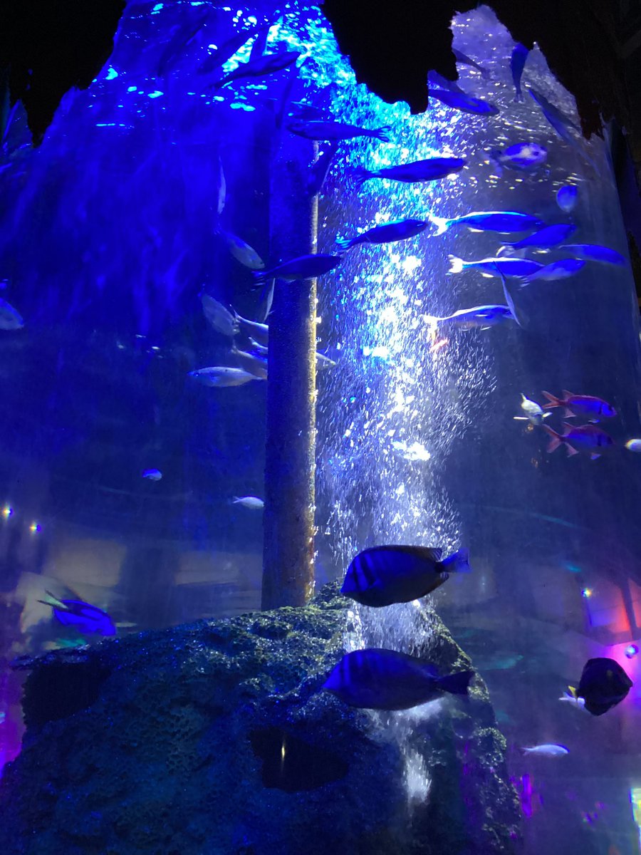 Pineham Barns tweet media