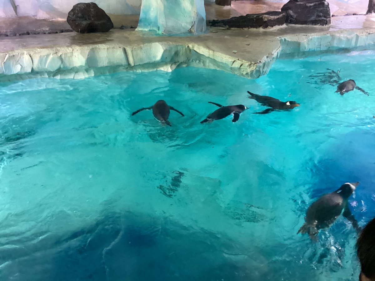 Pineham Barns tweet media