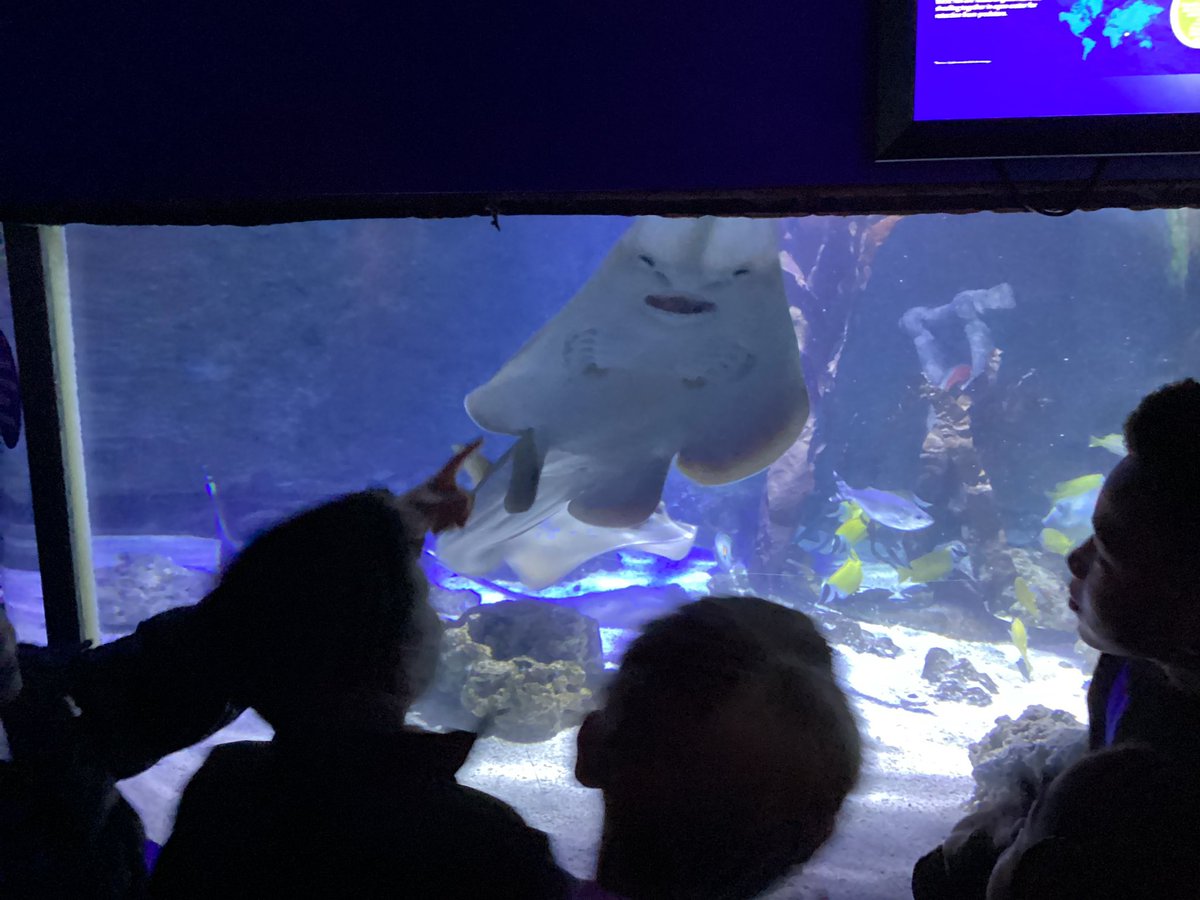 Pineham Barns tweet media