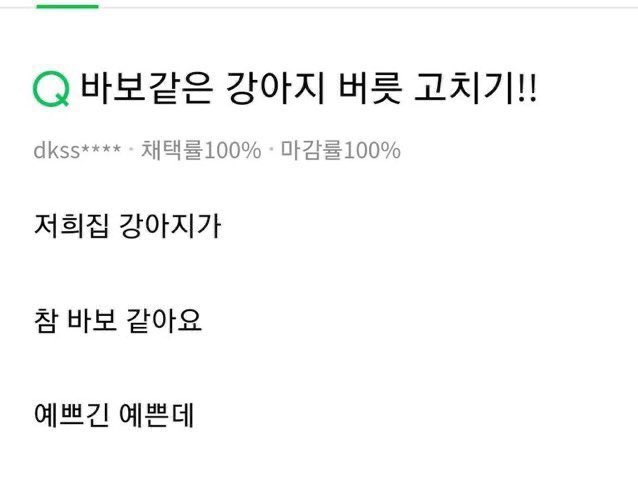 poooce's tweet photo. 바보개 https://t.co/SYenOkuA3D