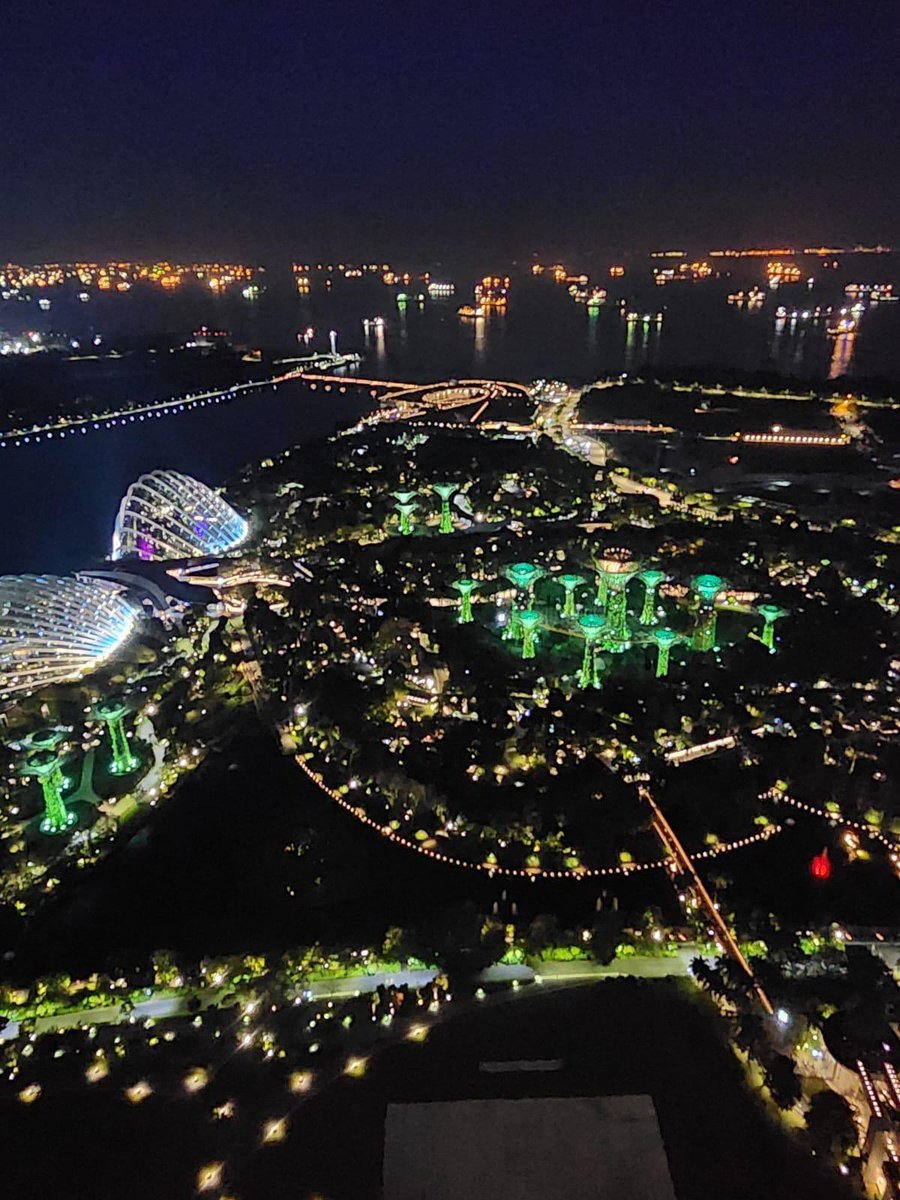 Singapore lights up green ahead of the third annual @EarthshotPrize ceremony tomorrow night. The race is on to save our planet & helping to lead the way is @KensingtonRoyal Prince William.