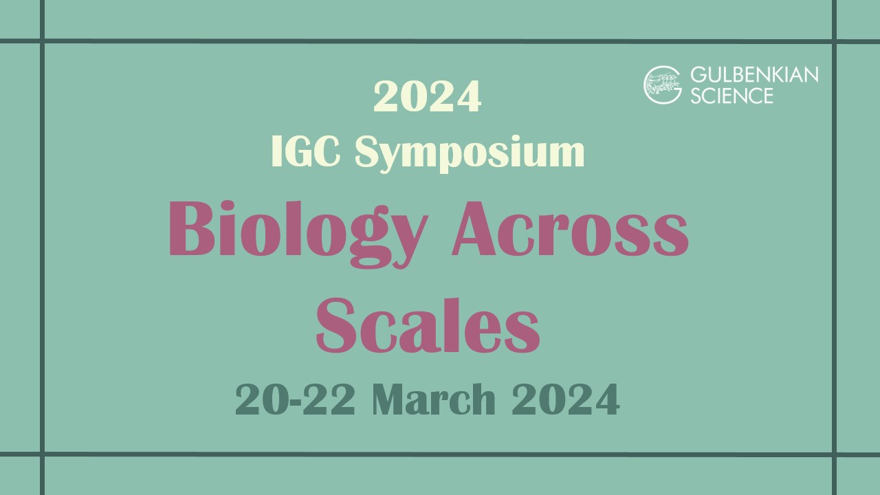 Igc Show 2025