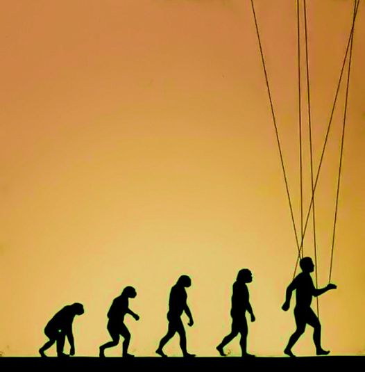 ALF_Alien Life Form (@alf_rednecks) on Twitter photo 