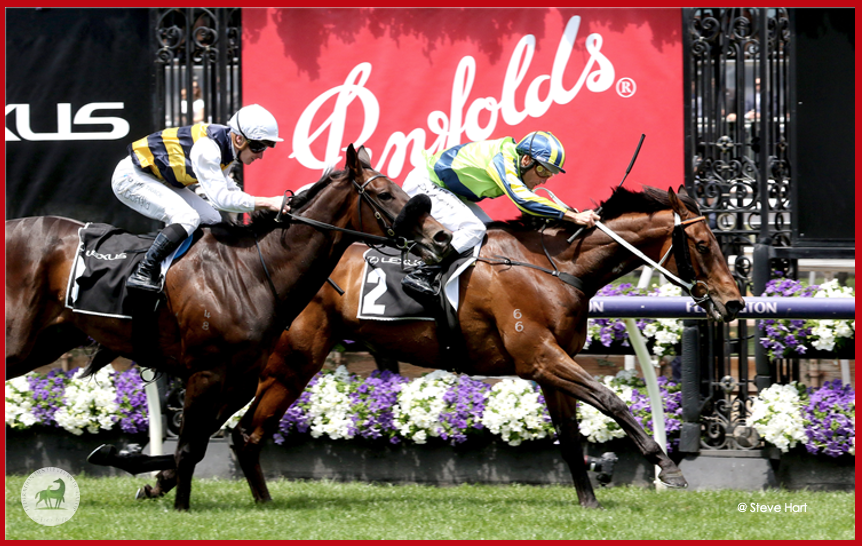 Fedeeleveurs's tweet photo. 🇫🇷Victoire de Groupe en Australie 🇦🇺
KALAPOUR, fils de #WarCommand élevé par Son Altesse l'Aga Khan, remporte sur l’hippodrome de @FlemingtonVRC le Lexus Archer Stakes, Groupe 3.
Félicitations à tout son entourage.🙌
#guardiansofthethoroughbred #RaceAndCare https://t.co/ZhYeMQXfgn
