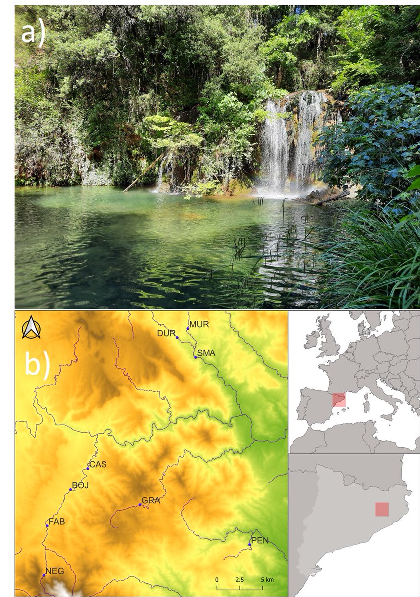 Vicenç Acuña (@vicencacuna) on Twitter photo Finally it's published, our first publication on natural swimming holes, or waterholes, at the crossroad between conservation and recreation. See more at:
onlinelibrary.wiley.com/doi/10.1111/fw…, with @Annafreixa and <a href="/JosepPueyo/">josep pueyo marcet</a> , from <a href="/iCERCA/">Centres CERCA</a> Finally it's published, our first publication on natural swimming holes, or waterholes, at the crossroad between conservation and recreation. See more at:
onlinelibrary.wiley.com/doi/10.1111/fw…, with @Annafreixa and <a href="/JosepPueyo/">josep pueyo marcet</a> , from <a href="/iCERCA/">Centres CERCA</a>