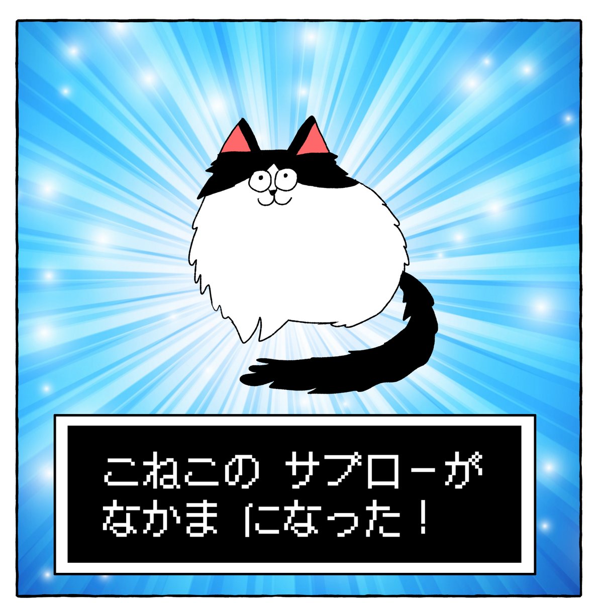 南の島から来た保護猫⑥(2/2)