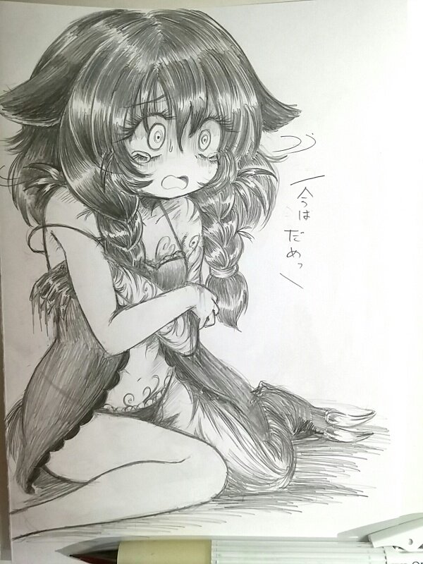 これは比較的ぽっちゃりしてるメイちゃん 