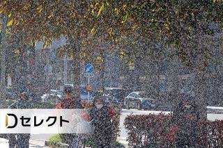ju_vee0606's tweet photo. @shiranuiflare 一匹だとホワホワして可愛いけど今年は地獄ですよね…札幌ですがやばいです https://t.co/T0NzKCdfeO