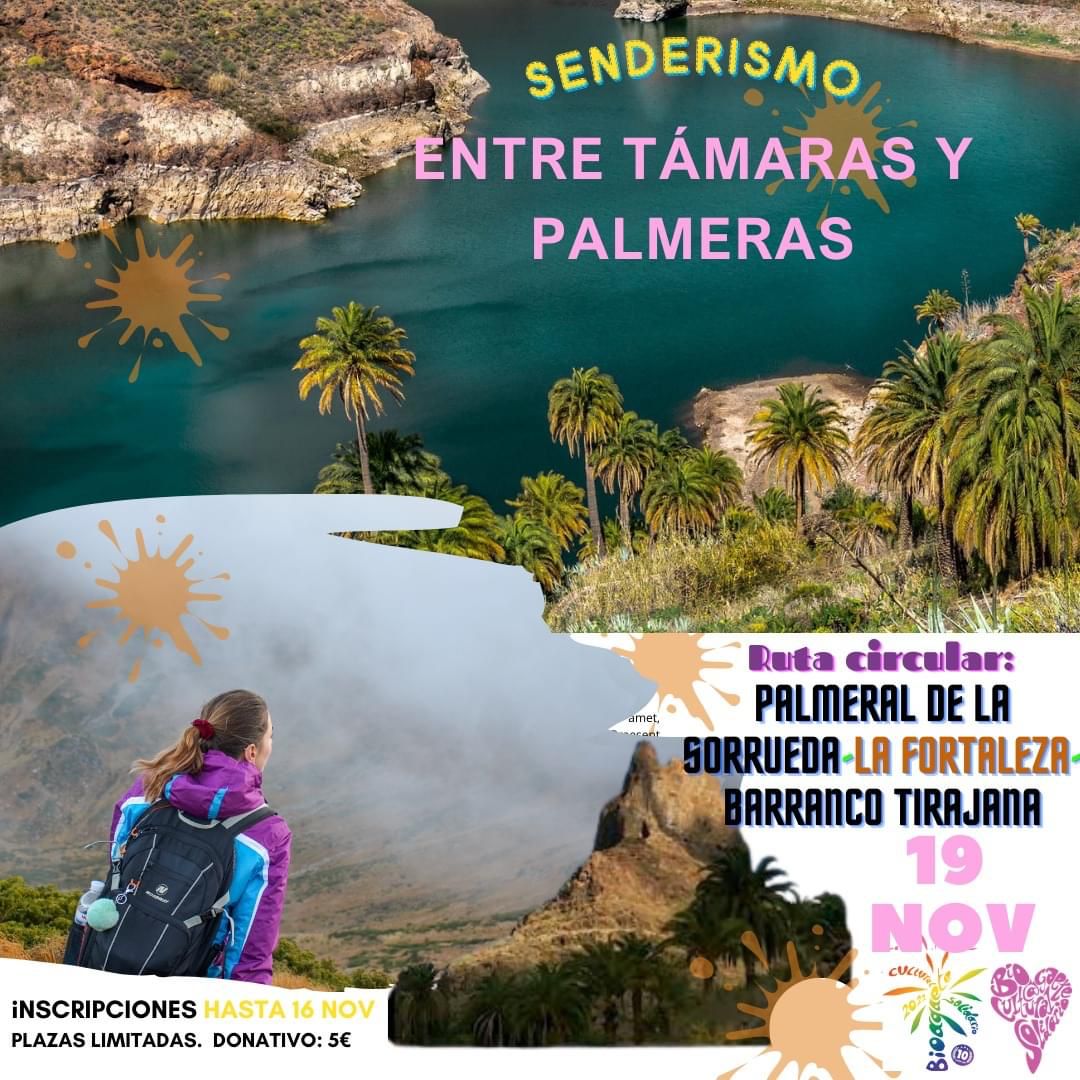 👣¿Te vienes de senderismo?
Ruta «Entre támaras y palmeras»
🔹Palmeral de La Sorrueda - La Fortaleza - Barranco de Tirajana 
📆 19/11 | 09:30 horas
〽️ 8,9 km / 4:30 horas
🫶🏽 Donativo: 5€. Plazas limitadas
+INFO e inscripción: forms.gle/XwB7WiaarrRdYE…