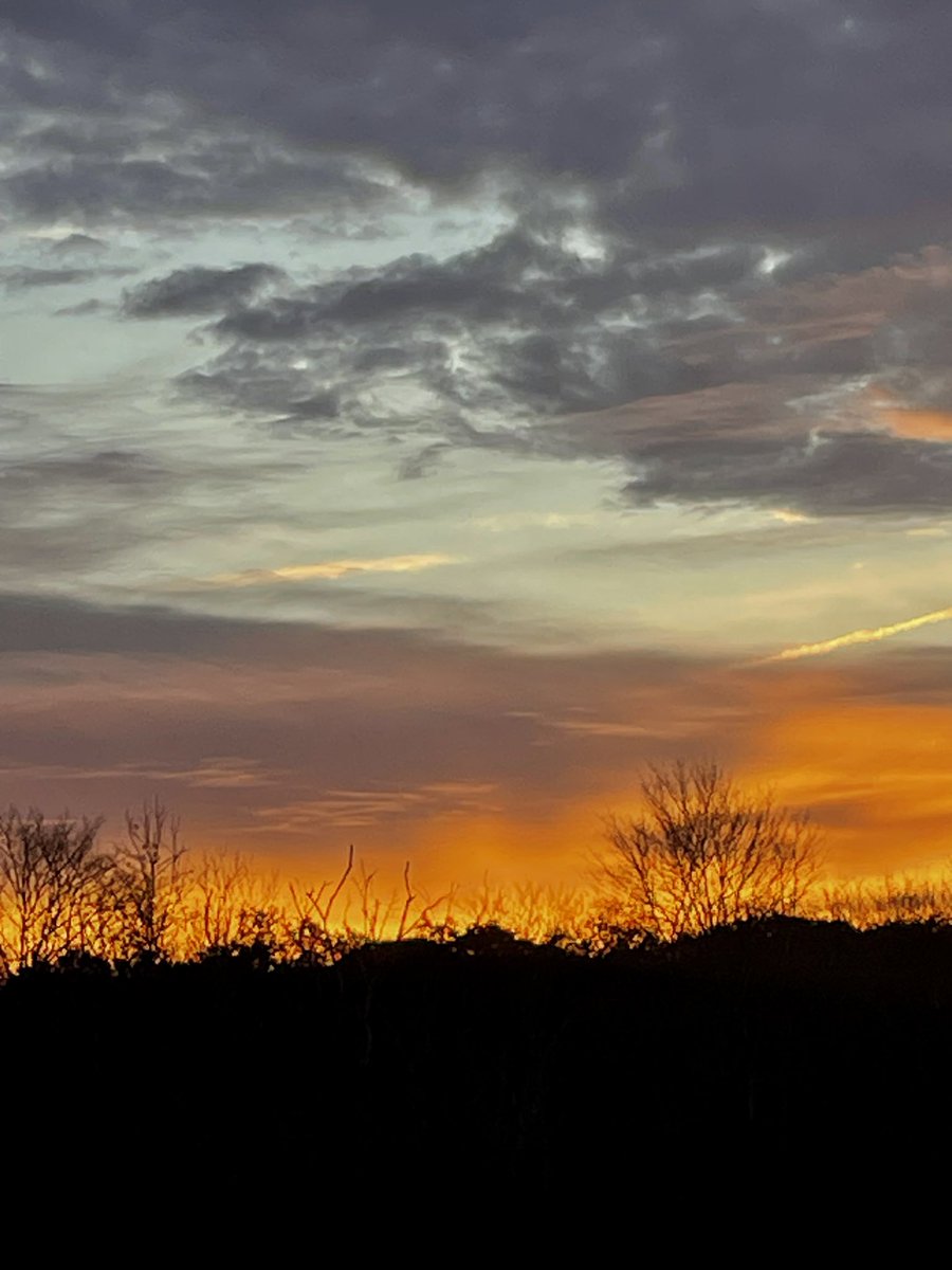 mpicsb's tweet image. GM..