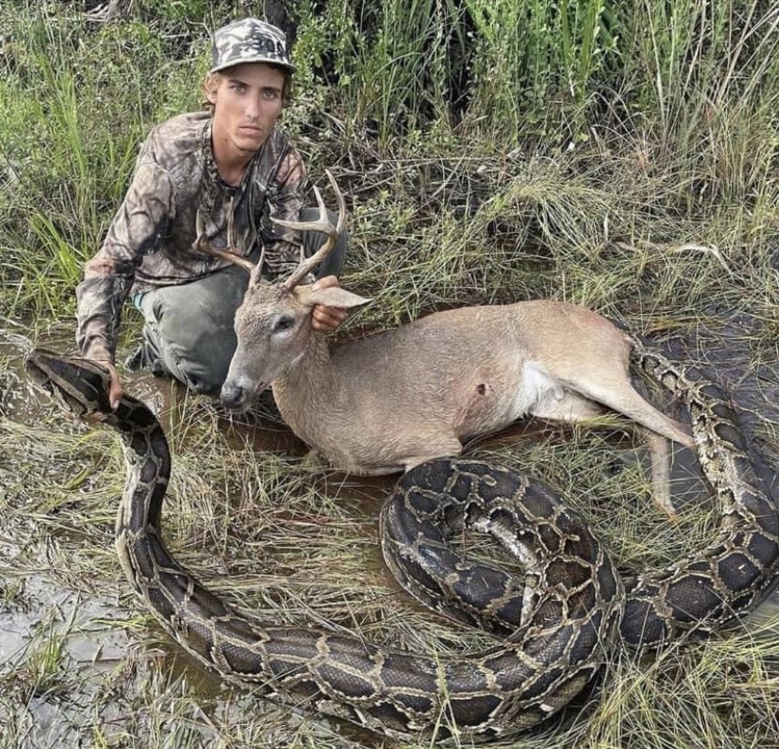 SPORTSMANchnl's tweet photo. Only in Florida can you shoot a buck and a python in one sit! Big congrats to Konnor on his epic day. - @lower_florida_bucks 

#ITSINOURBLOOD #hunting #deer #deerhunting #Florida #python #pythonhunting #floridasportsman https://t.co/eYMpBG88ka