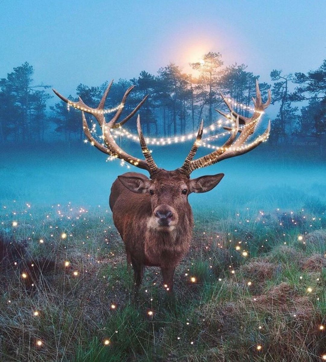 ramblingsloa's tweet photo. Just be yourself.
Let people see the real, imperfect, flawed, quirky, weird, beautiful, magical person that you are.

Mandy Hale https://t.co/7zBGOGmXMy