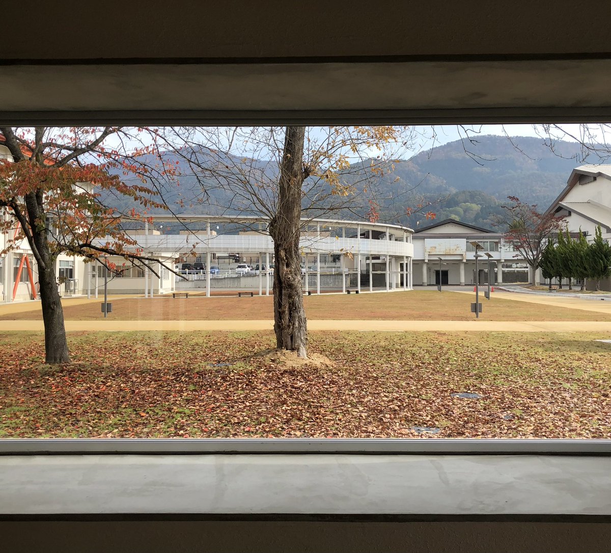 mikikouzy's tweet photo. @LinkMurayama の建物内から撮った写真だよー。

なんつーの、、、
京都のお寺の窓から〜、みたいな感じよ。(語彙力😇 https://t.co/nJeHNZI3Xj