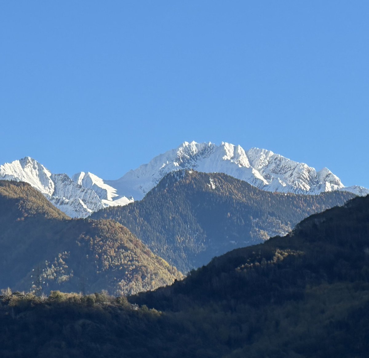 docsanga's tweet photo. Nuova settimana, il
Monte Disgrazia dalla finestra, nuovi specializzandi @etherBicocca @unimib in arrivo e il #CrashCourseRianimazioneUNIMIB alle porte… via che si va! @AnRiaValtellina @asstValtLario https://t.co/8NkOMRFPs2