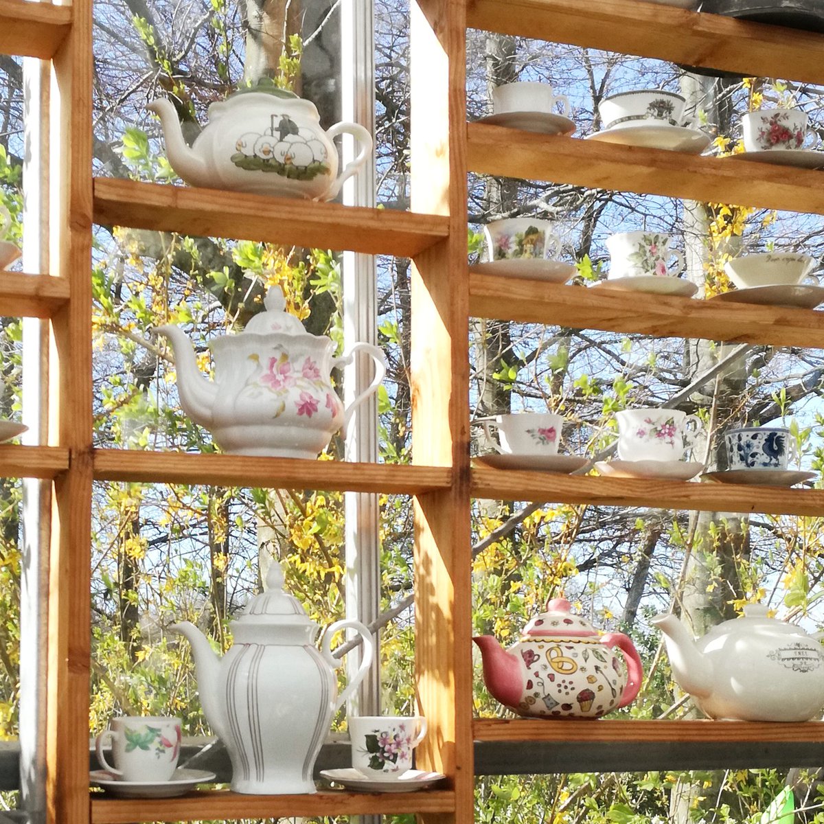 juicyrootsblog's tweet photo. Coffee or tea—which is your morning elixir? How do you prefer to begin your day?
 ☕☕☕
#teacupcollections #teatime #outdoortea #vintageporcelain 
#porcelain #gardendecor #eclecticdecor #tableware #blooms   #keukenhofgardens #art #nature #style 
https://t.co/Mrfiq4dVDb https://t.co/CsaKvAF8Mo