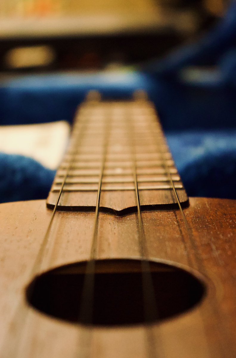 KAMINARIGUITARS's tweet photo. #kaminariguitars_photo
photo by 🐤 https://t.co/rxiTDXmi7B