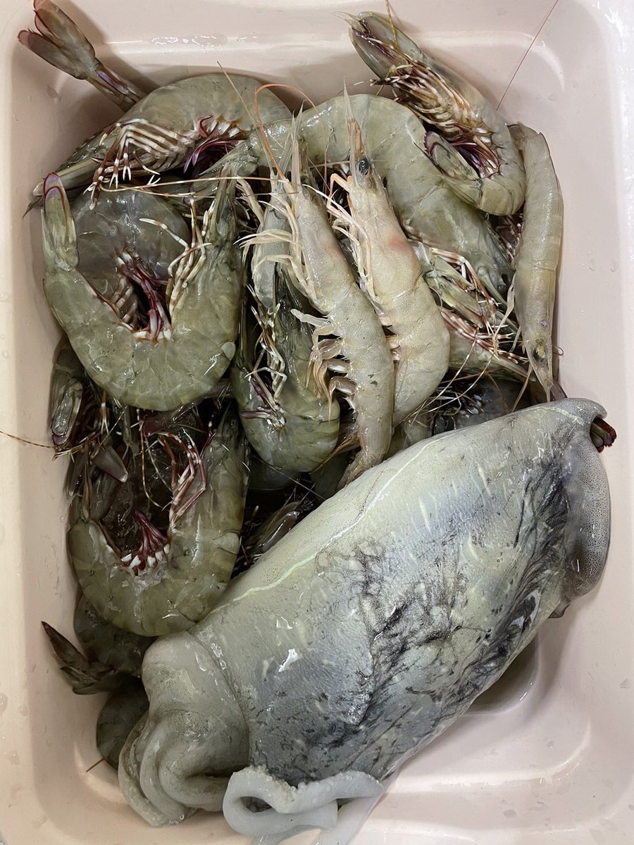 和歌山県より足赤エビが届きました！
特大サイズもご用意しております！＃寿司よし　＃寿司　＃出前寿司　＃出前館　＃三鷹　＃調布　＃武蔵野　＃小金井　＃sushi ＃tokyo