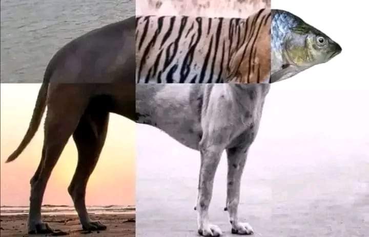 She: You never understand my feelings.
Her feelings: