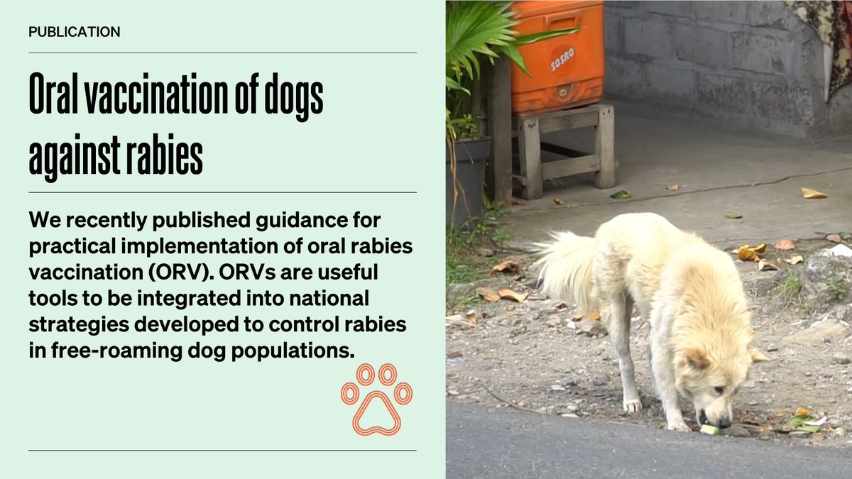 🐾 In response to needs expressed by countries, with @FAO & @WHO we worked with the @UARForum to develop & publish our recommendations on using oral #vaccination of dogs against #rabies, or #ORVs. 🐕

📃 Read them here: unitedagainstrabies.org/publications/o…

🐶 ORV use is a novel strategy with