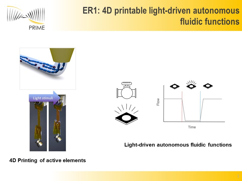 project-PRIME tweet media