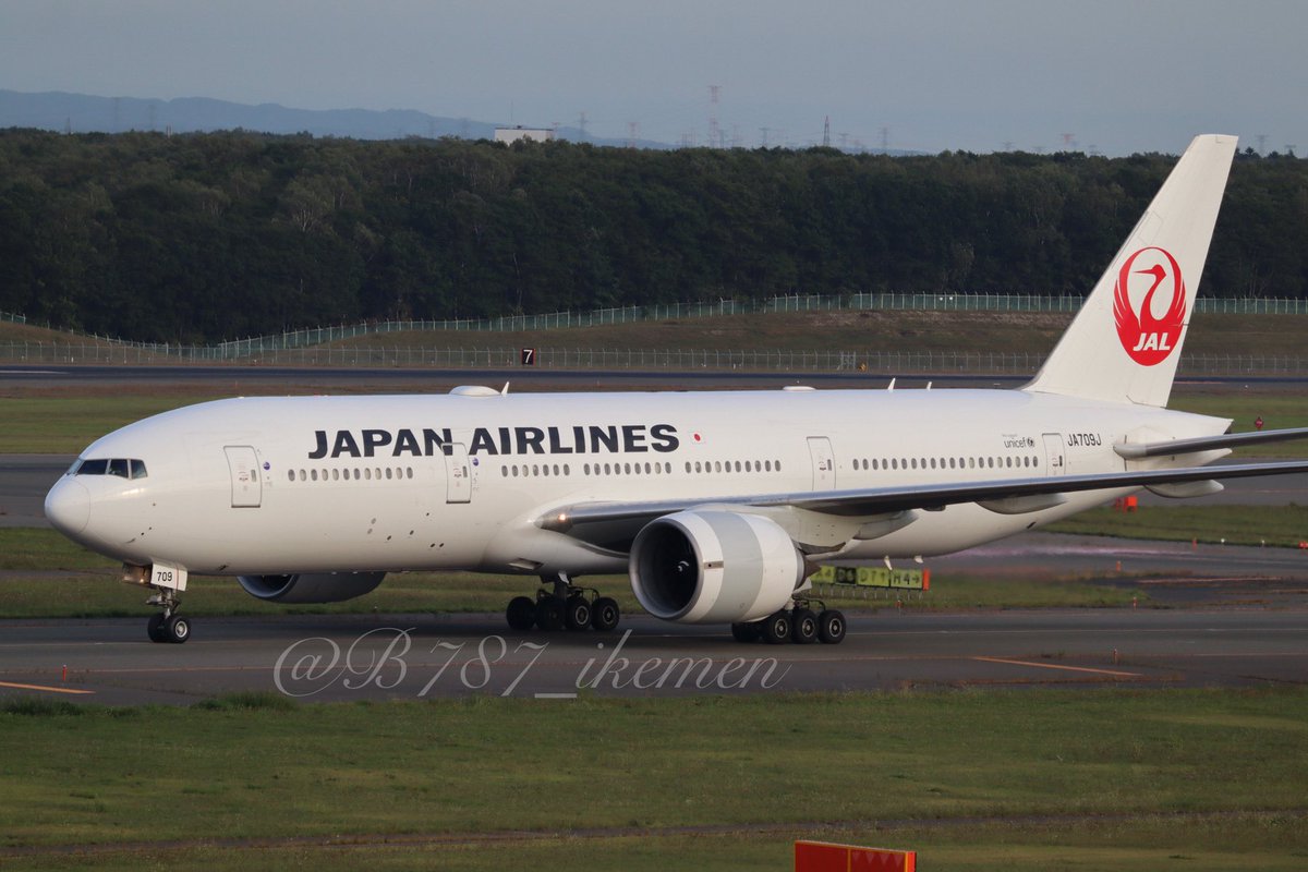 natsumi_787's tweet photo. ちょっと懐かしのJA709J。
私の中では、まだまだ現役です😉✨
#JAL
#B777
#トリプルセブン
#JA709J https://t.co/lIyJR9MQal