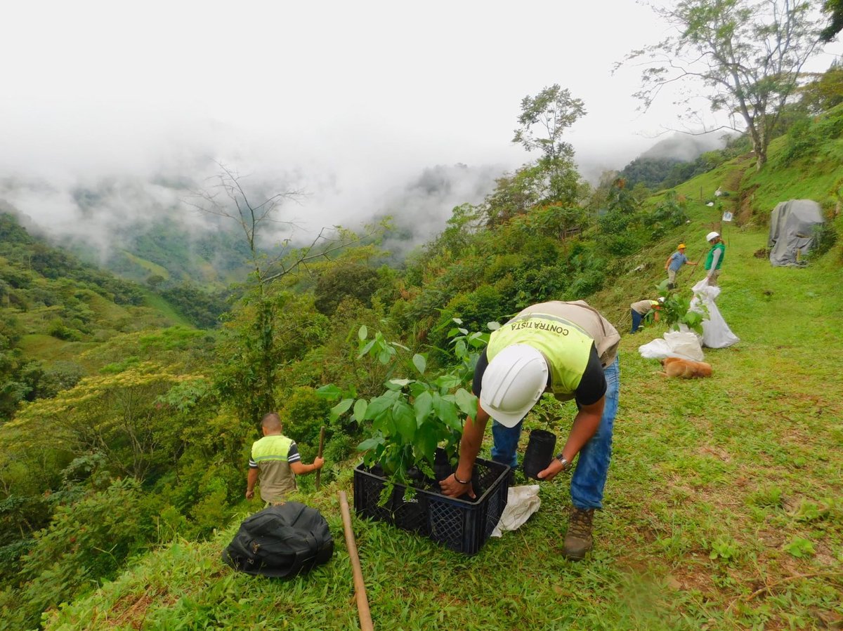 Do you know the main pillars of #greenmining?
Mining practices have evolved to the point where they favour employment and care for the environment where they are developed.

innovaminex.com/blog/en/green-…