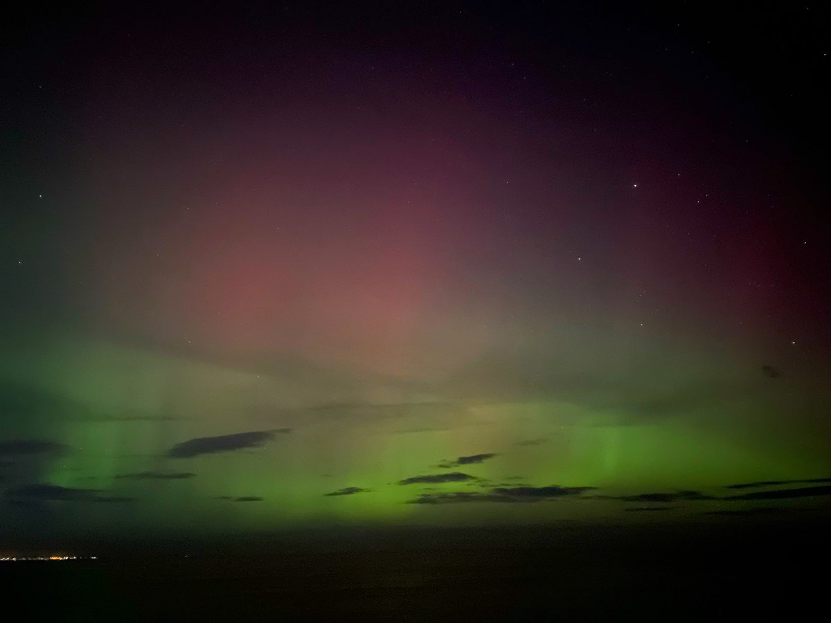 Helen Morton tweet media