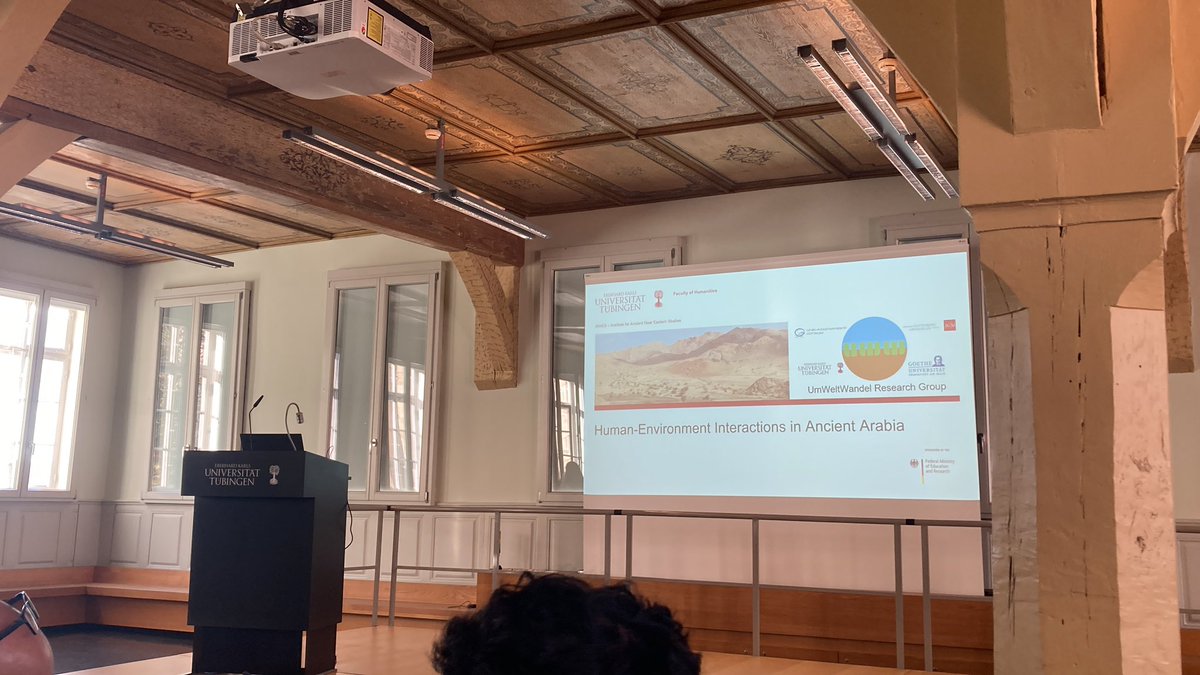 Zoë van Litsenburg tweet media