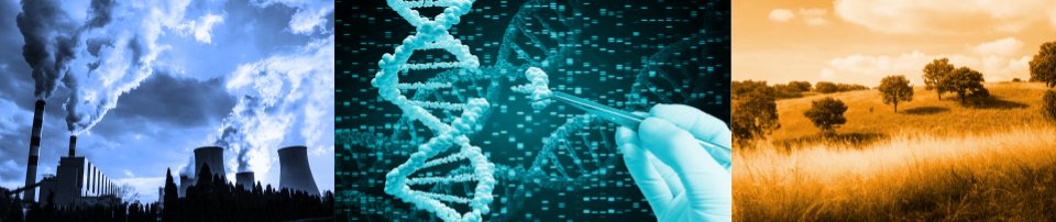 CIEMAT Divulgación tweet media