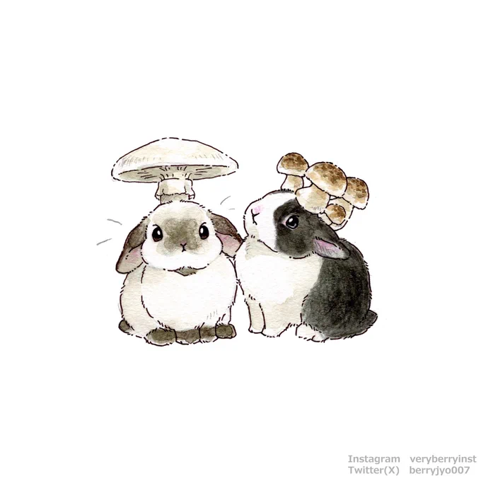 うさ吸い禁止ドクツルタケうさぎさん登場そんなあなたにぶなしめじうさぎさんはいかがですか〜? 