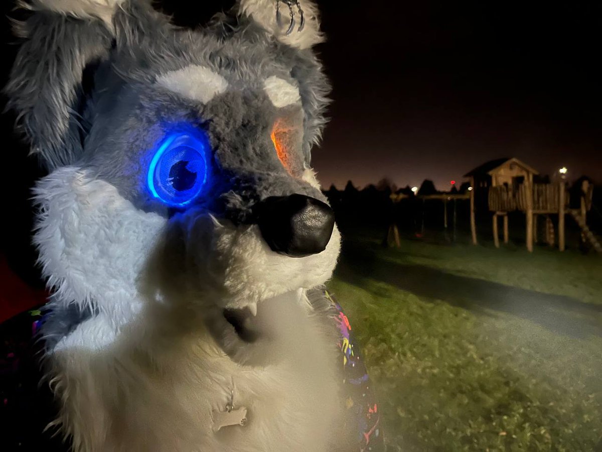 AgentLupusKM's tweet photo. #furry #fursuiting 
Furrween 2023 https://t.co/O1pvyAjJcM