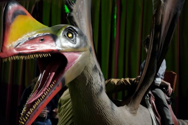 dinomusee's tweet photo. La photo du jour. Le Musée Éphémère vous attend samedi et dimanche au parc des expositions de Metz réservation des places ici: https://t.co/IHdUxs8ZoT https://t.co/zS85n0p7bx