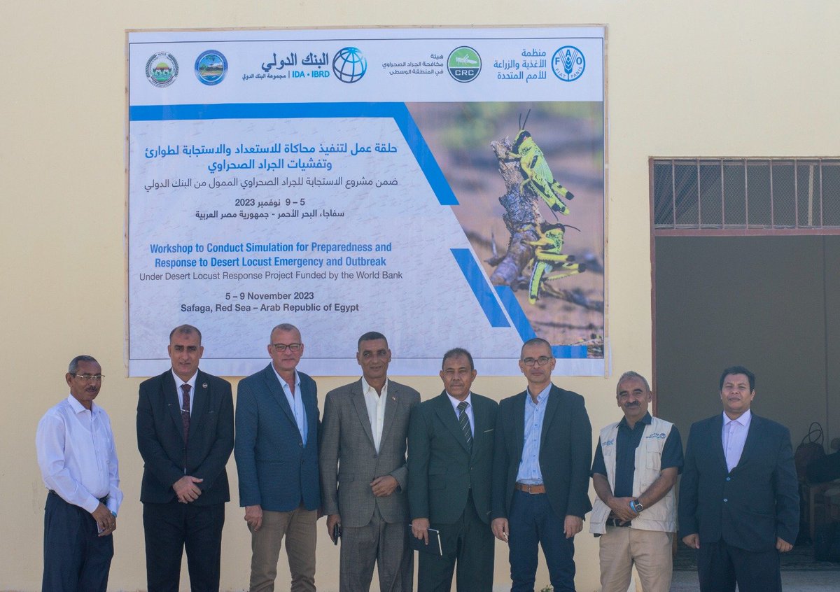 FAOYemen's tweet photo. #HappeningNow
A workshop in Egypt 2 conduct simulation 4 preparedness &amp; response 2 #DesertLocust (DL) emergency &amp; outbreak
5 Egyptians &amp; 15 Yeminis attending under @WorldBank funded DL project and FAO-Commission 4 Controlling Desert Locust in Central Region &amp; Min of Agric - Egypt https://t.co/hpfvPvj0UX