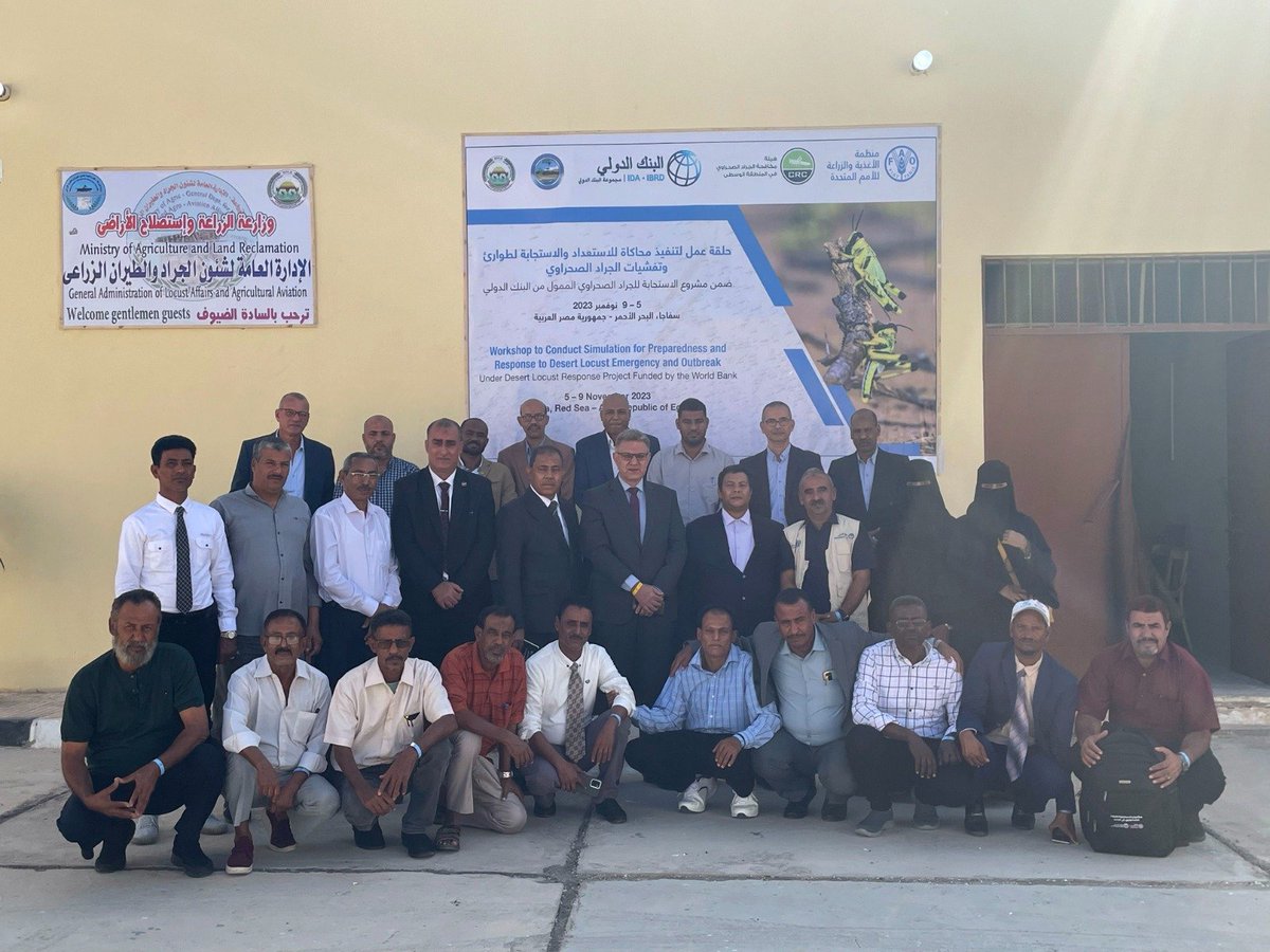 FAOYemen's tweet photo. #HappeningNow
A workshop in Egypt 2 conduct simulation 4 preparedness &amp; response 2 #DesertLocust (DL) emergency &amp; outbreak
5 Egyptians &amp; 15 Yeminis attending under @WorldBank funded DL project and FAO-Commission 4 Controlling Desert Locust in Central Region &amp; Min of Agric - Egypt https://t.co/hpfvPvj0UX