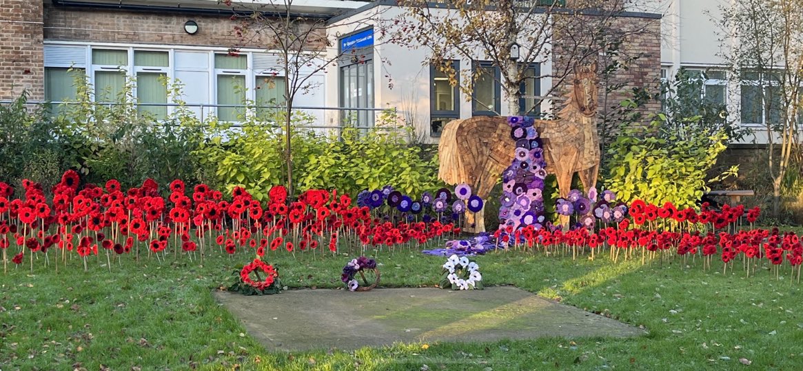 Patients staff and volunteers at the Royal Orthopaedic Hospital in Birmingham have made this stunning display of red and purple poppies ahead of Remembrance Day. Such care and attention to honour the soldiers and animals who went to war and never came home