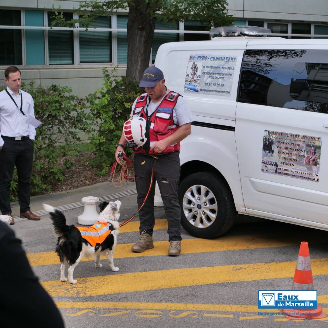 eauxdemarseille's tweet photo. 🚰 #Métier 🐶Connaissez-vous notre brigade spéciale à 4 pattes experte en #recherche de #fuites ? 🐾 Ces #chiens spécialement formés sont capables de détecter la présence de #chlore et permettent à nos équipes de gagner en rapidité d'intervention.
👉 https://t.co/3dGztIAj4N https://t.co/97z7HueX7A