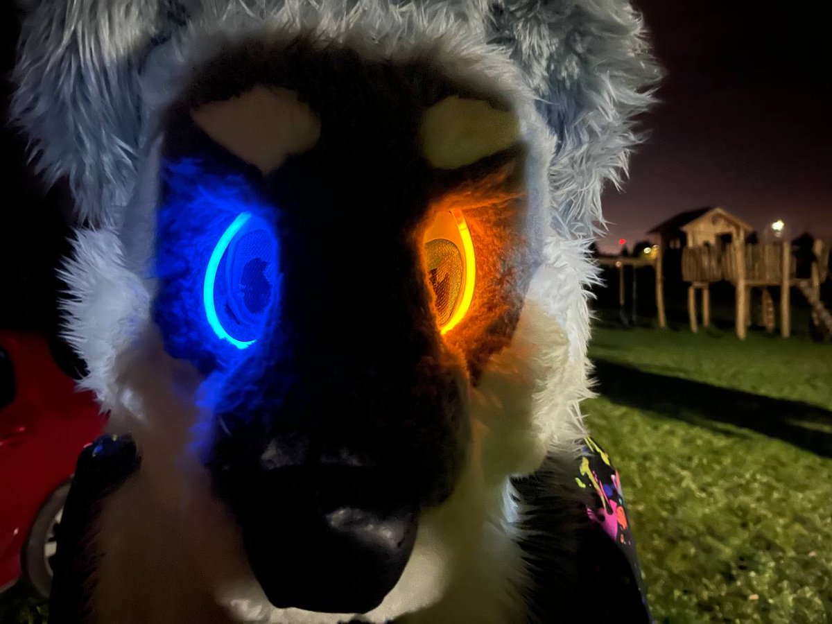 AgentLupusKM's tweet photo. Portalowy Lupi nie istnieje, nie może Cię skrzywdzić.
Portalowy Lupi:

#furry #fursuiting #furrween2023 https://t.co/2BoWpfDMJS